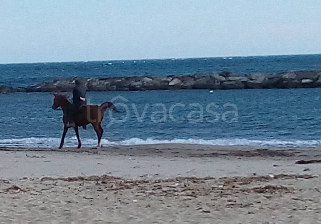appartamento in vendita a Taggia in zona Arma di Taggia