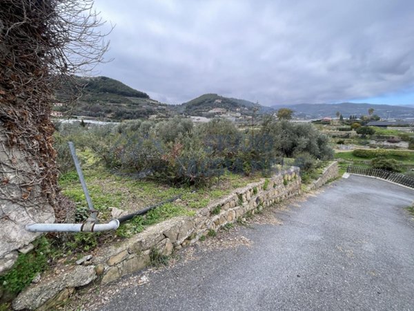 terreno agricolo in vendita a Taggia