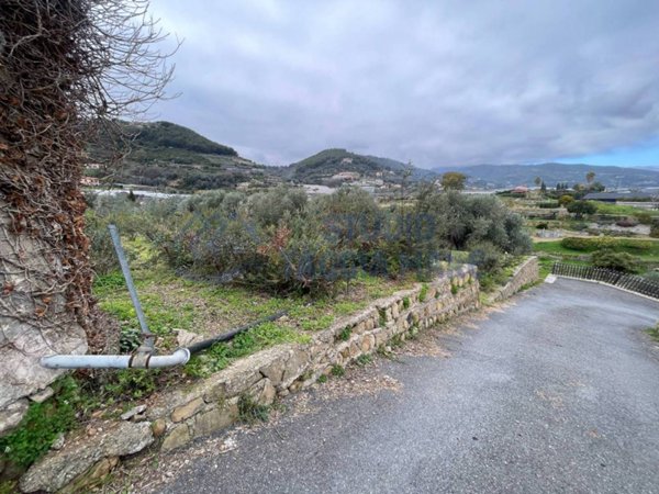terreno agricolo in vendita a Taggia