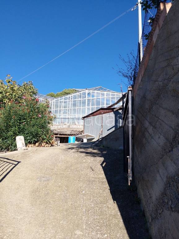 terreno agricolo in vendita a Taggia