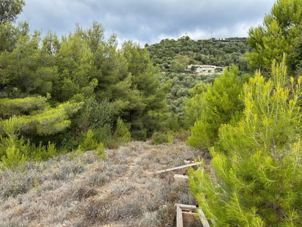 terreno in vendita a Taggia