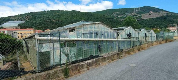 terreno agricolo in vendita a Taggia