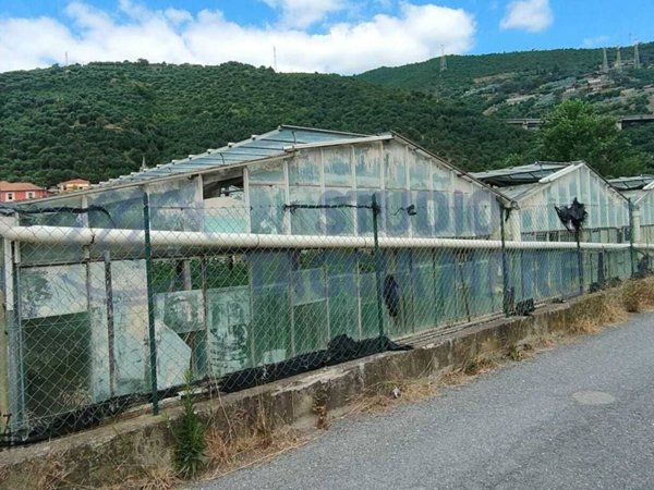 terreno agricolo in vendita a Taggia