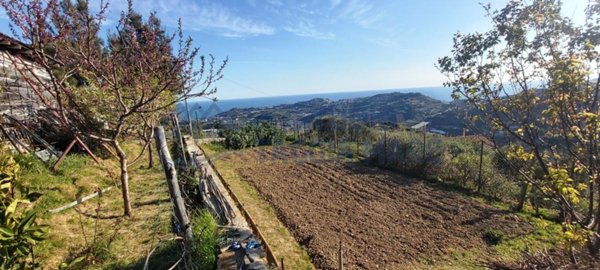 terreno agricolo in vendita a Taggia in zona Arma di Taggia