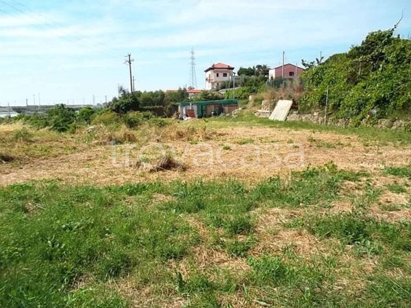 terreno agricolo in vendita a Taggia in zona Levà