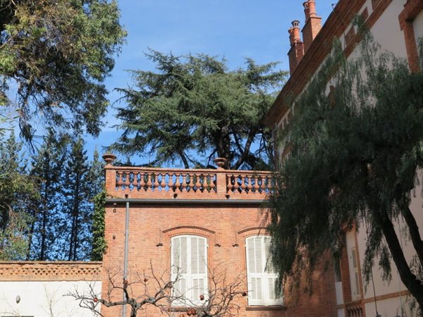 casa indipendente in vendita a Taggia in zona Levà