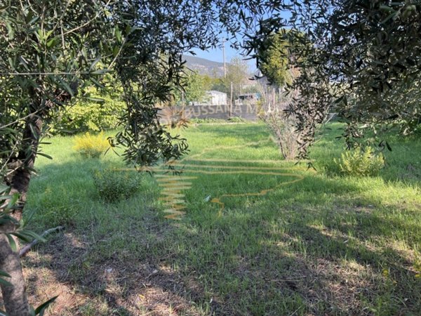 terreno in vendita a Taggia in zona Levà