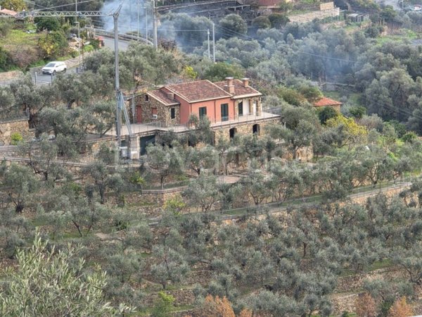 casa indipendente in vendita a Terzorio