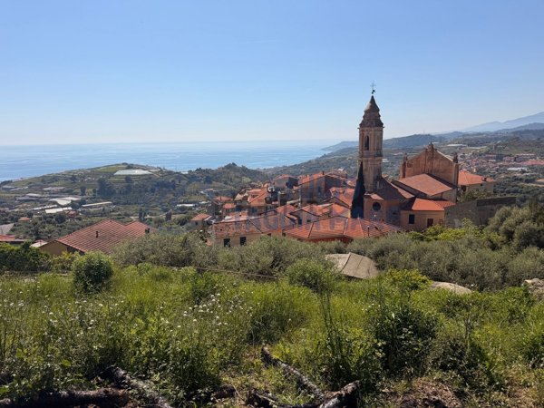 terreno edificabile in vendita a Terzorio