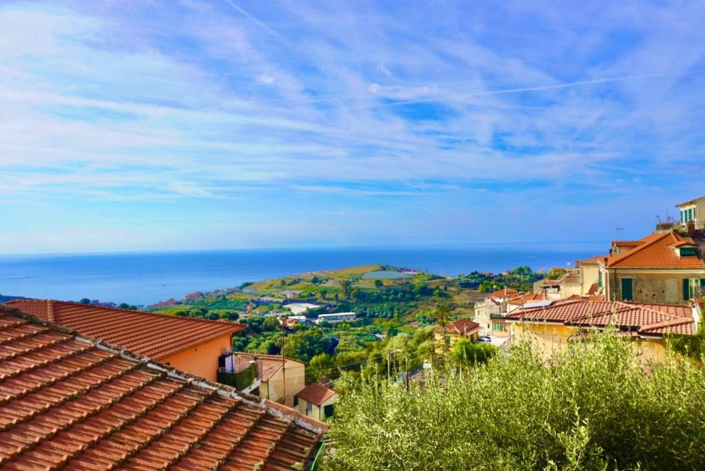 appartamento in vendita a Terzorio
