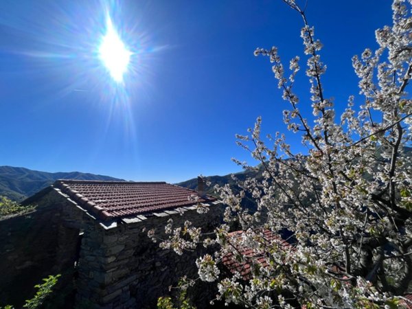 appartamento in vendita a Triora