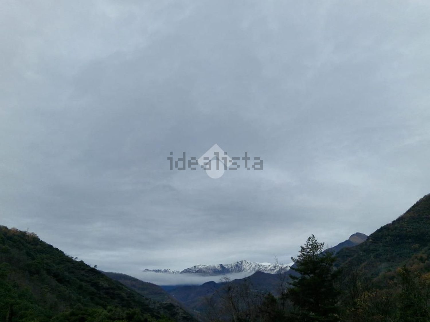 quadrivano in vendita a Triora