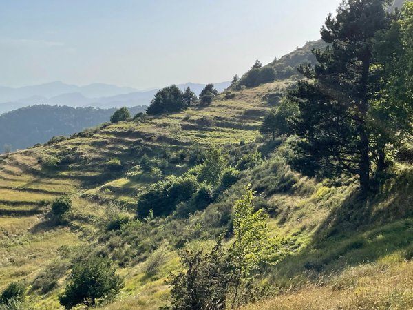 rudere in vendita a Triora