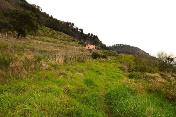 appartamento in vendita a Vallebona