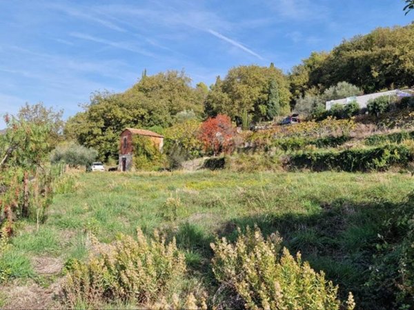 casa indipendente in vendita a Vallebona