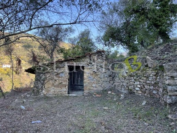 casa indipendente in vendita a Vallebona