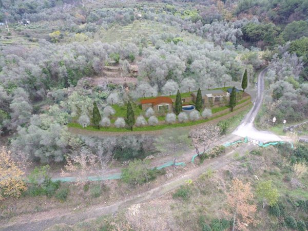 casa indipendente in vendita a Vallebona