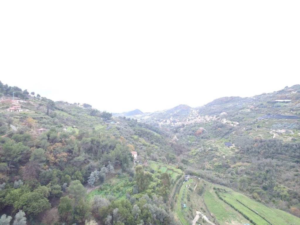 casa indipendente in vendita a Vallebona