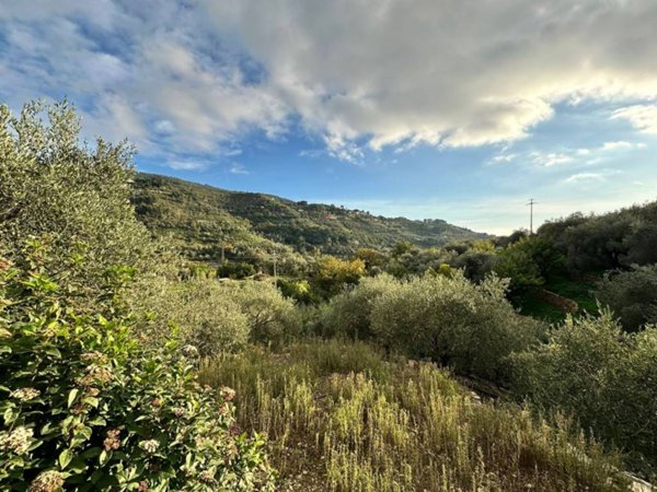 casa indipendente in vendita a Vallebona