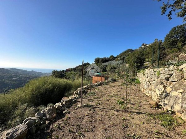 terreno edificabile in vendita a Vallebona