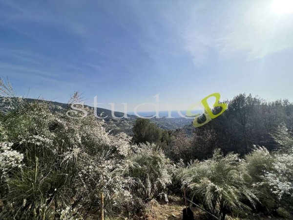 casa indipendente in vendita a Vallebona