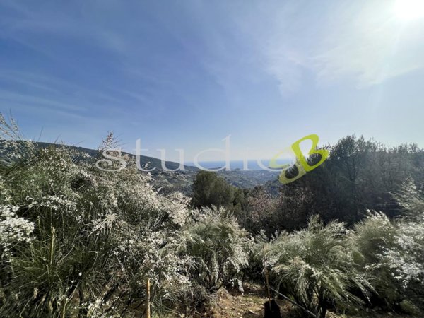 casa indipendente in vendita a Vallebona