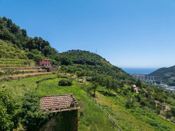terreno edificabile in vendita a Vallebona