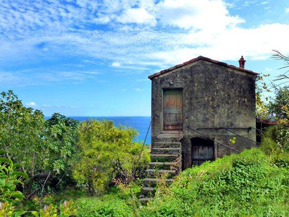 casa indipendente in vendita a Vallebona