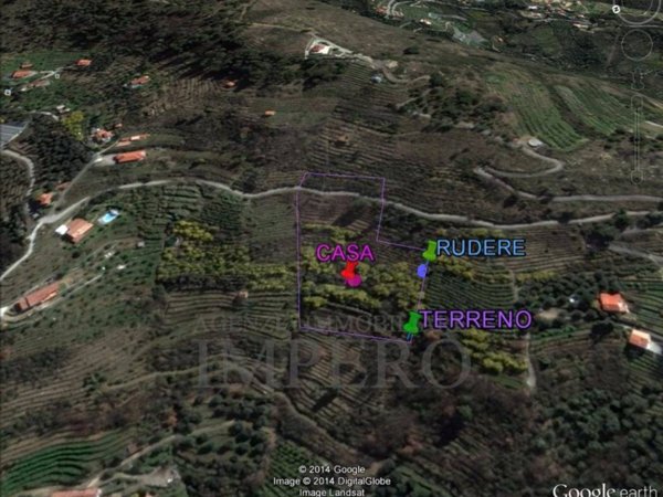 terreno edificabile in vendita a Vallebona