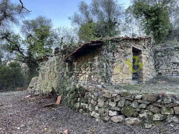 appartamento in vendita a Vallebona