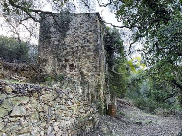 quadrivano in vendita a Vallebona