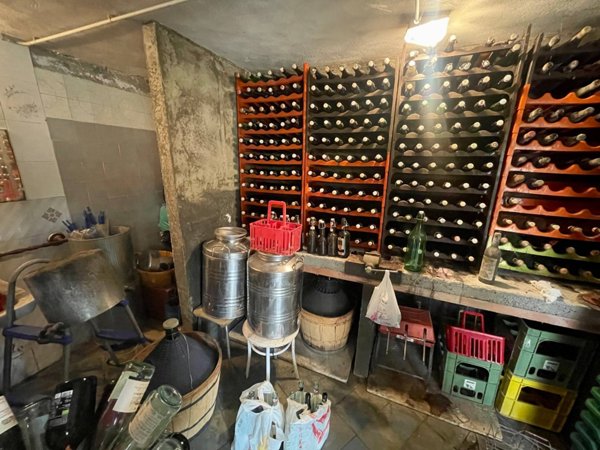 casa indipendente in vendita a Vallebona