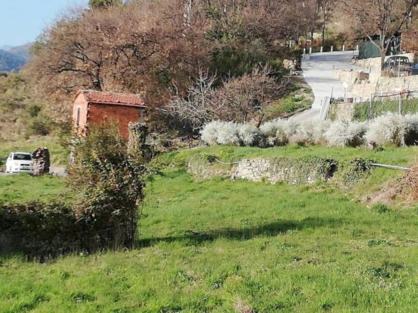 terreno edificabile in vendita a Vallebona