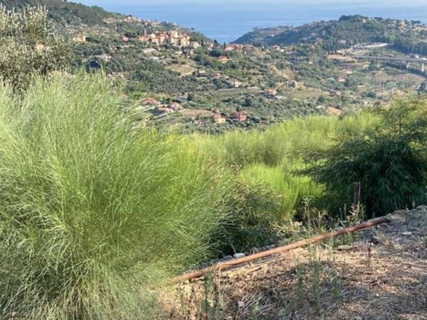 terreno edificabile in vendita a Vallebona