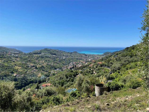 terreno edificabile in vendita a Vallebona