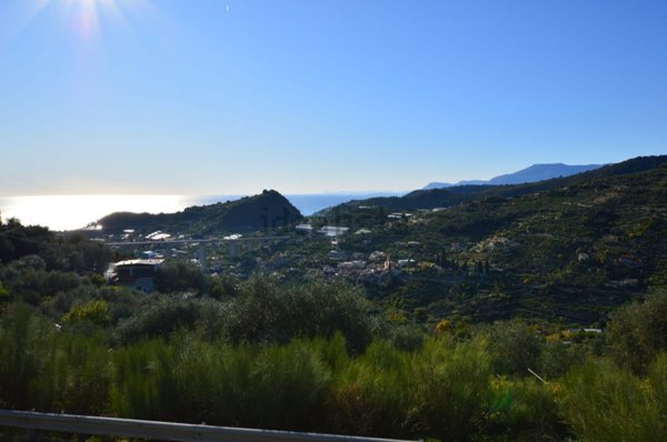 casa indipendente in vendita a Vallebona