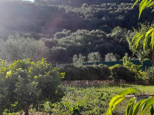 appartamento in vendita a Vallebona