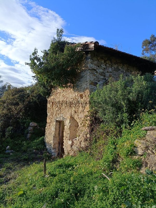 appartamento in vendita a Vallebona