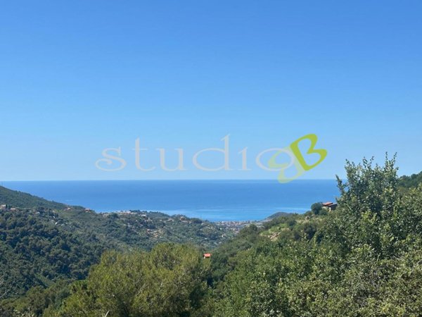 casa indipendente in vendita a Vallebona