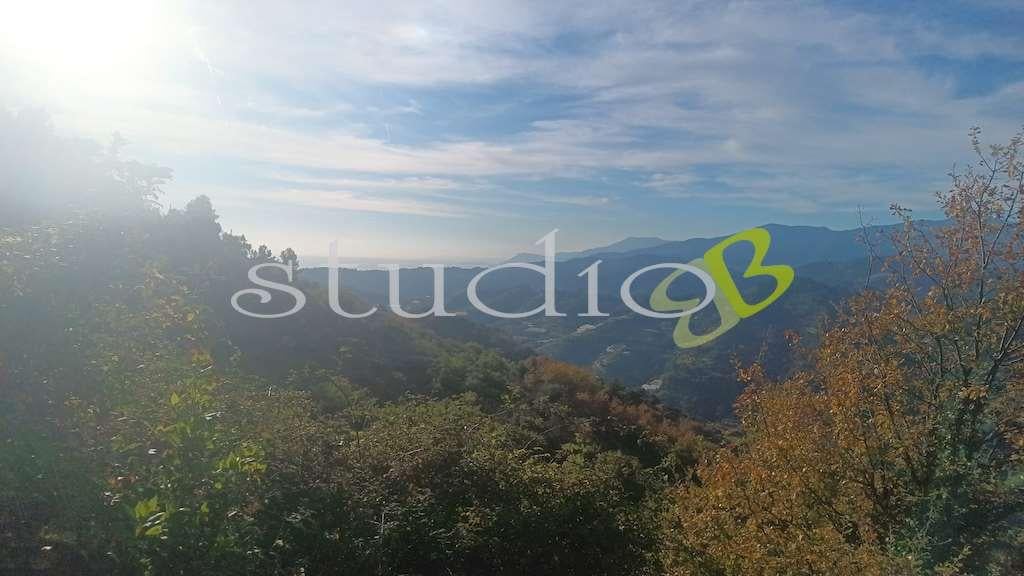 casa indipendente in vendita a Vallebona