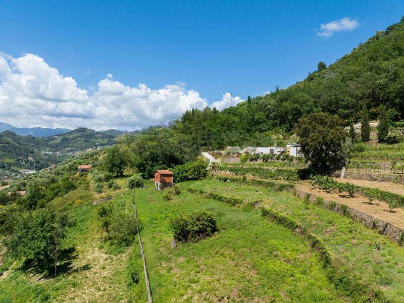 casa indipendente in vendita a Vallebona