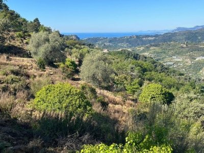 casa indipendente in vendita a Vallebona