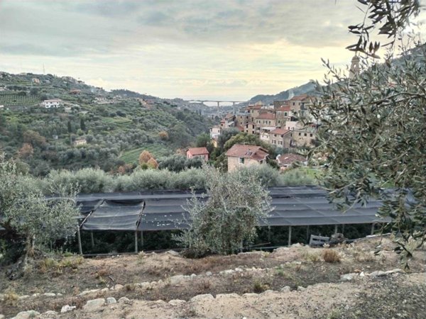 terreno edificabile in vendita a Vallebona