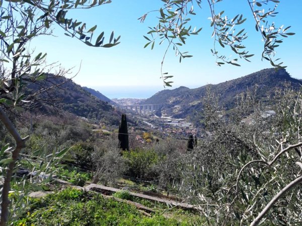 terreno agricolo in vendita a Vallebona
