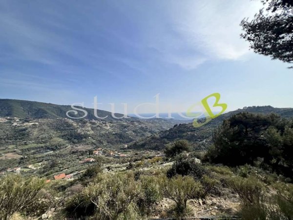 casa indipendente in vendita a Vallebona