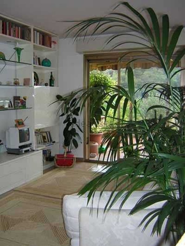 appartamento in vendita a Vallebona