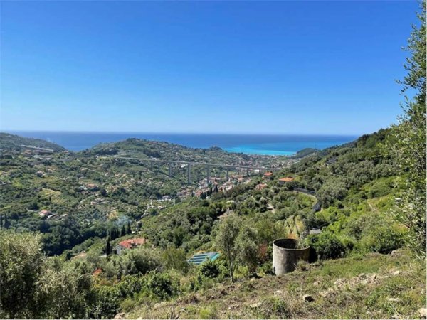 terreno edificabile in vendita a Vallebona
