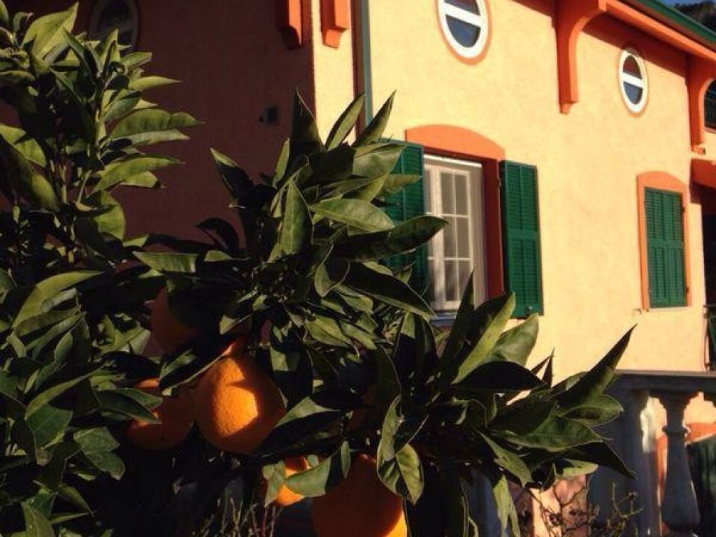 casa indipendente in vendita a Vallebona