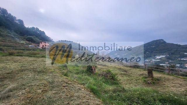 terreno edificabile in vendita a Vallebona