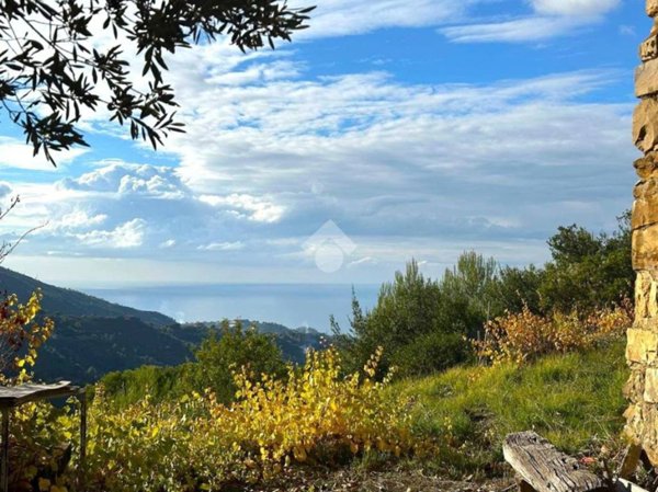 casa indipendente in vendita a Vallebona